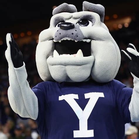 The Power of the Beaver: Exploring the Success of Ivy League Mascots